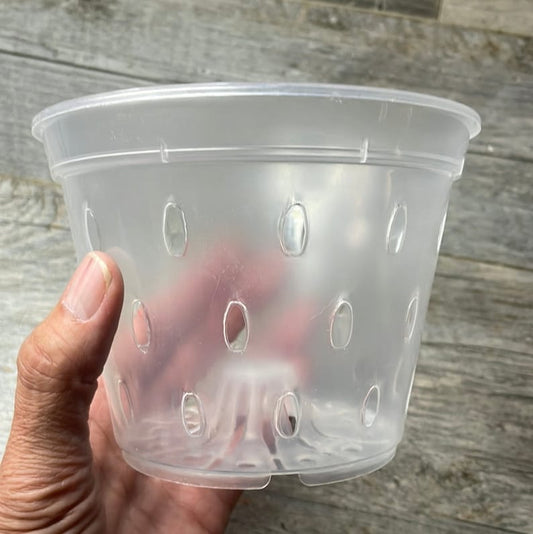5.5” clear orchid pot with holes, Clear plastic pot, Plastic flower pot for orchids, Clear pot for medium orchids